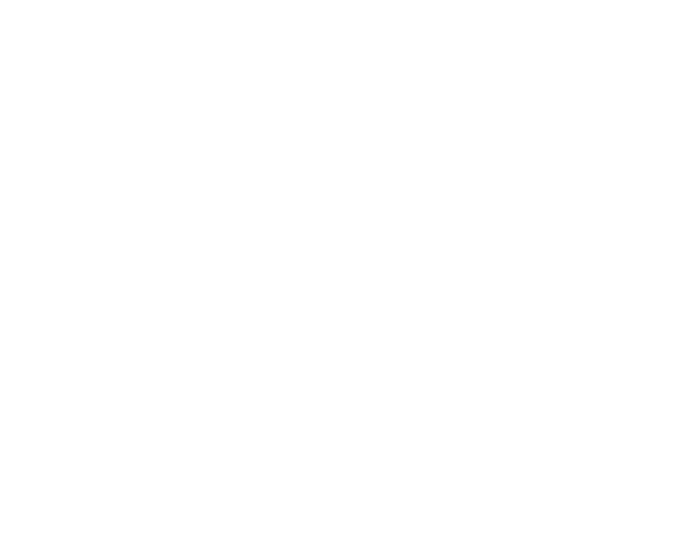 自動車